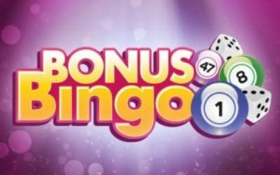 Online bingo bonuses and promotions